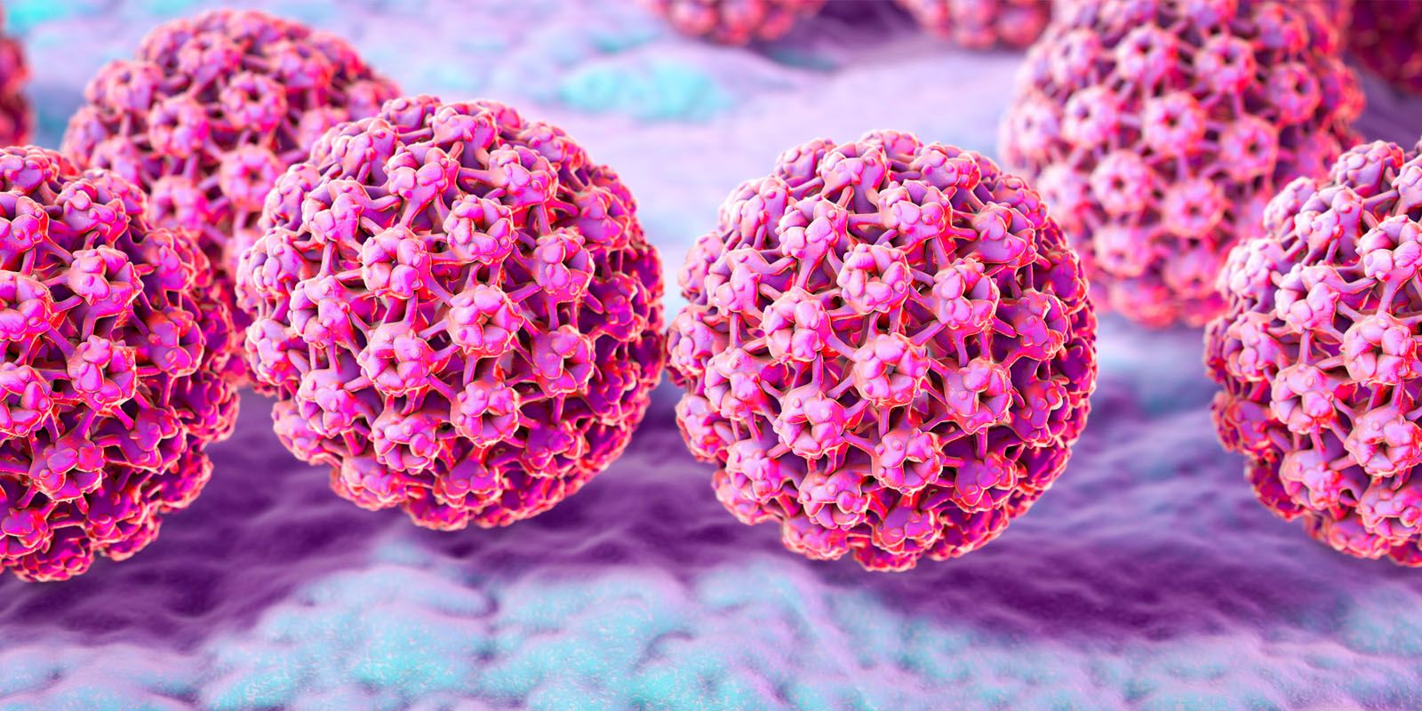 Genital Warts Genital Warts